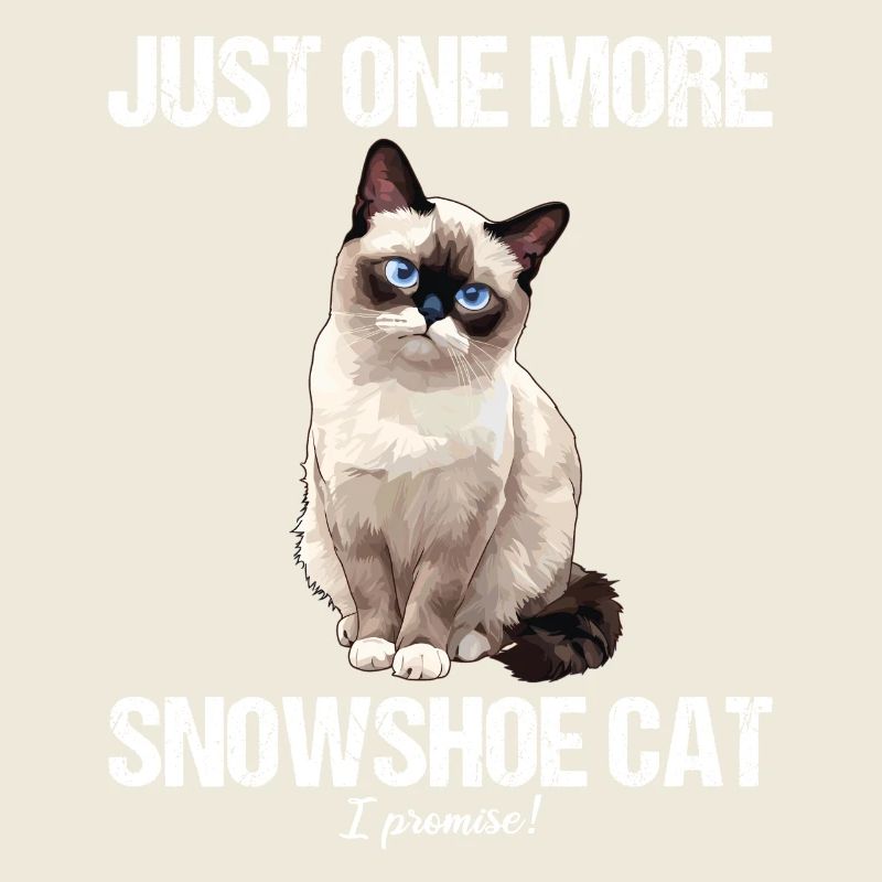 Snowshoe Kitten Snowshoe Cat