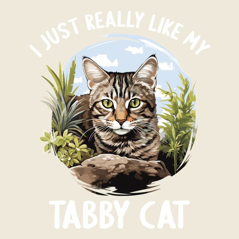 Tabby Kätzchen Tabby Katze