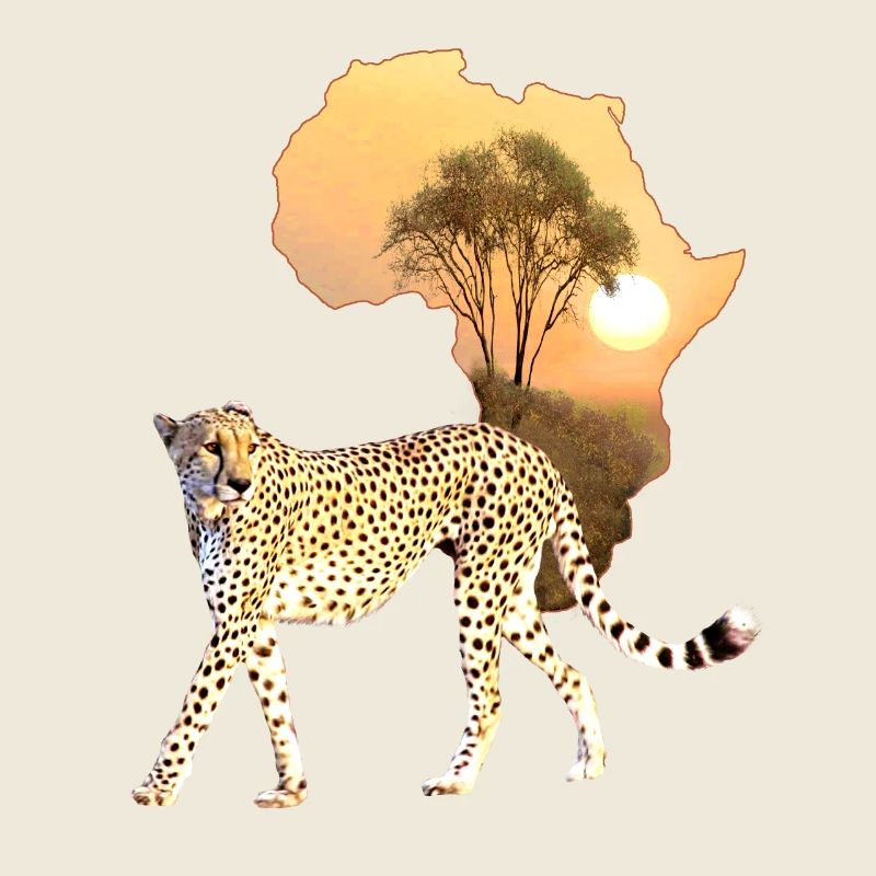Gepard - Raubkatze in Afrika