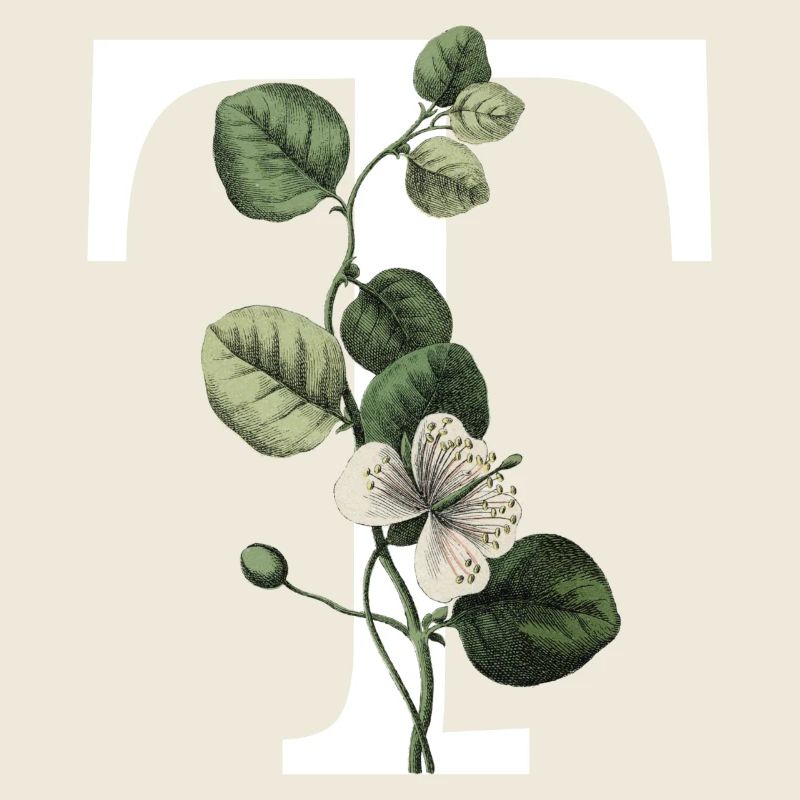 Green Botanical Letter T