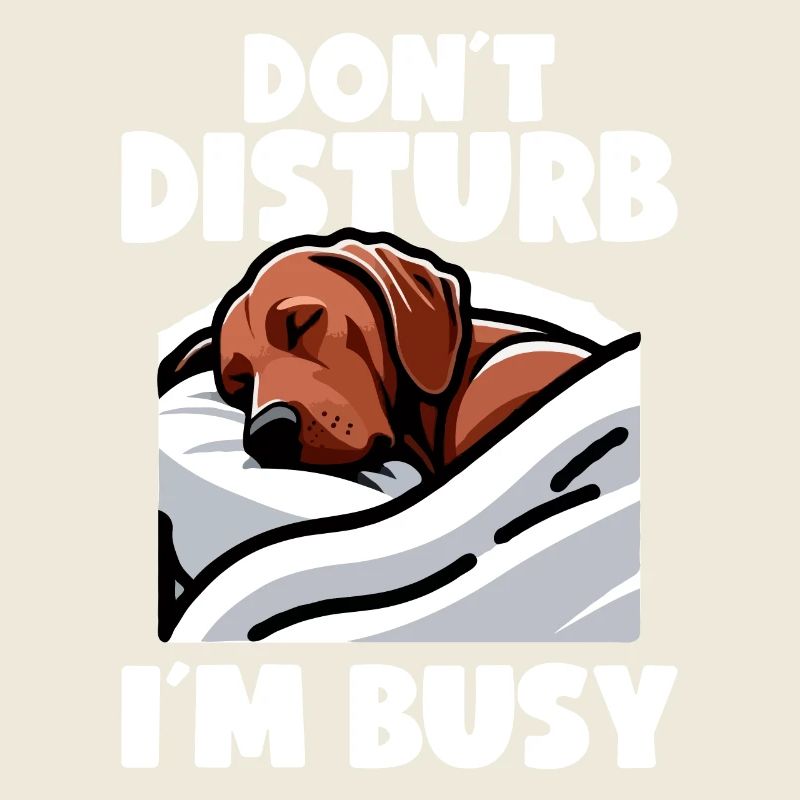 Chien Rhodesian Ridgeback Rhodesian Ridgebacks