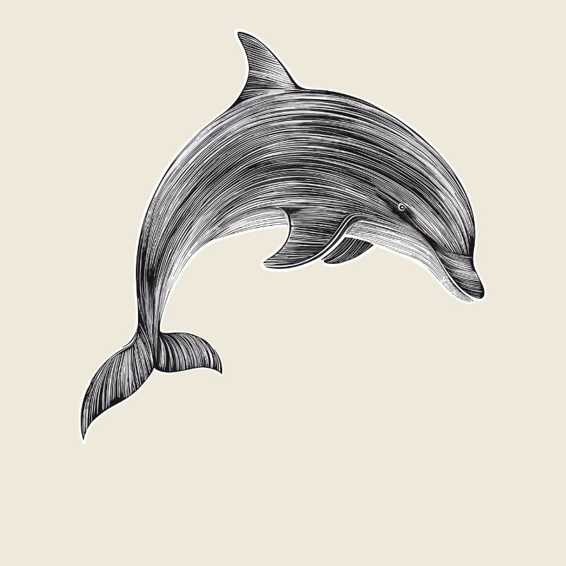 Illustration de dessin de dauphin noir et blanc
