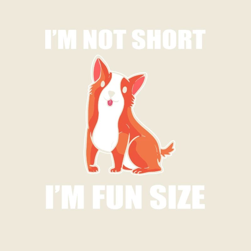 Corgi