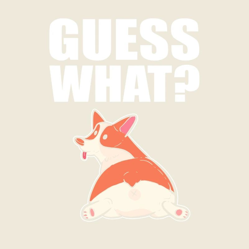 Corgi
