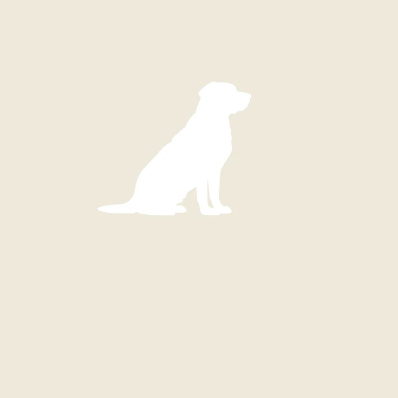 J’adore les chiens