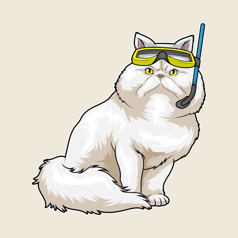 Chat persan Plongée Snorkel