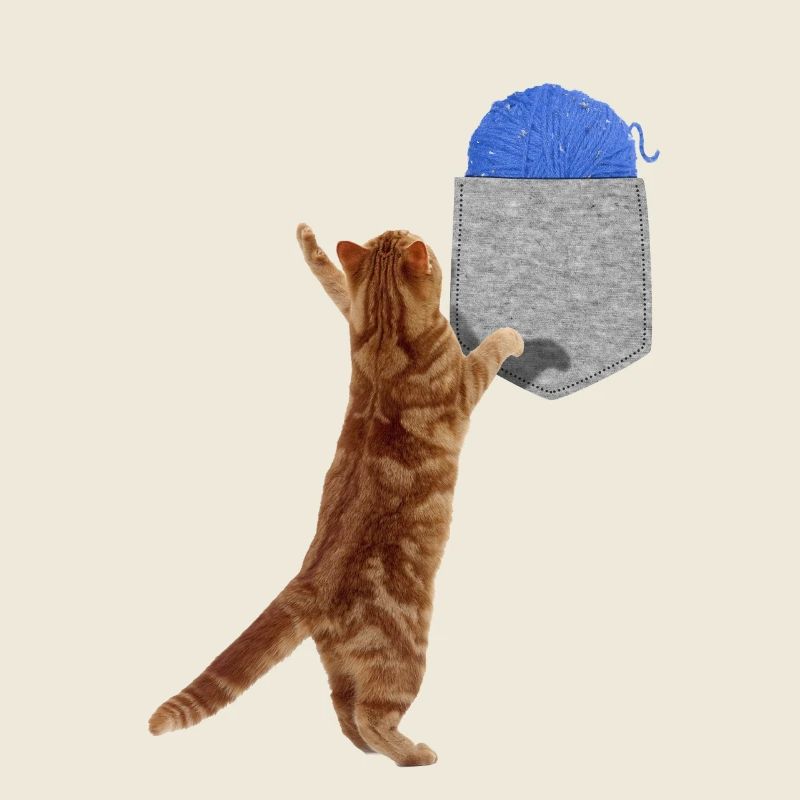 Katze, die nach Wollball in Ihrer falschen Tasche greift Spaß