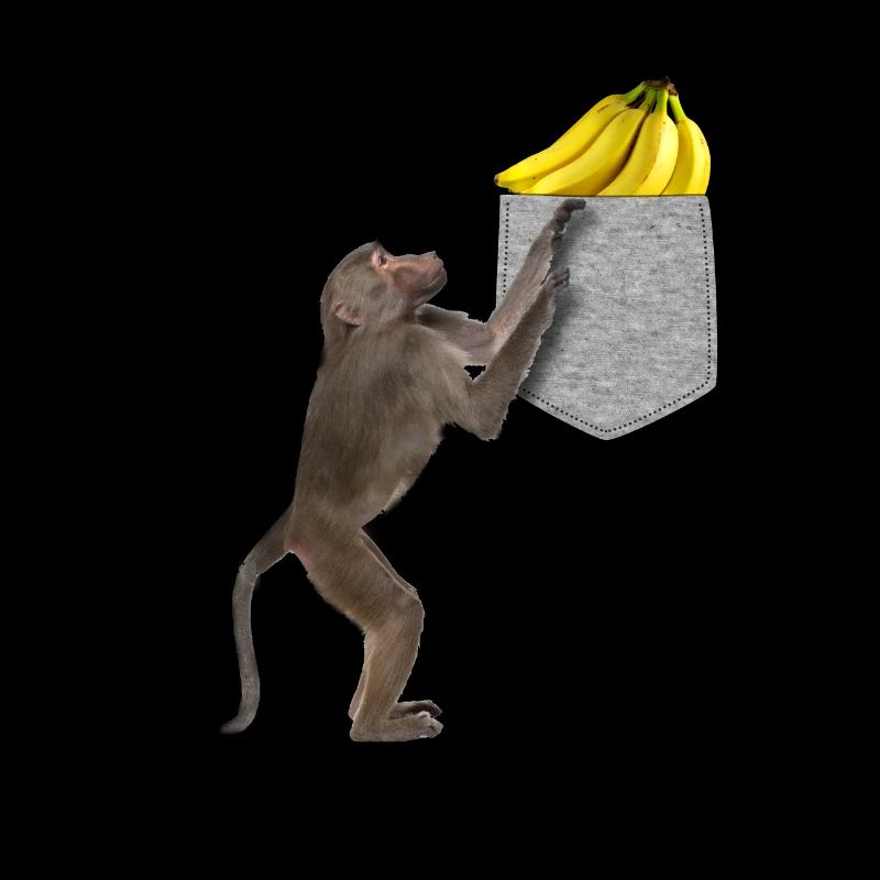 Pavian-Affe, der nach Banane in falscher Tasche greift