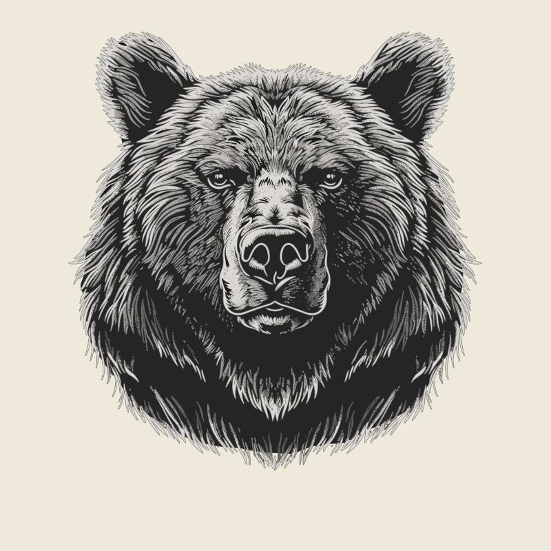 Bear Bären Bär