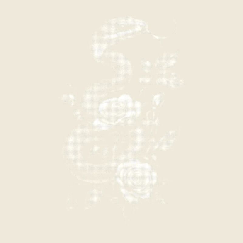 Serpent Serpent Rose Esthétique Cadeau Floral