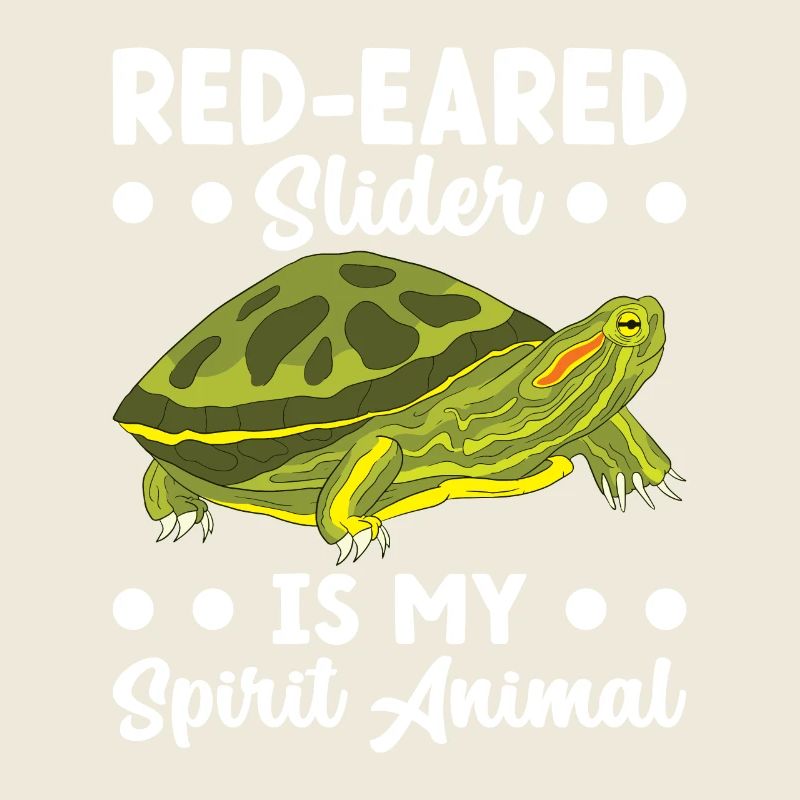 Turtle Red-eared Turtle
