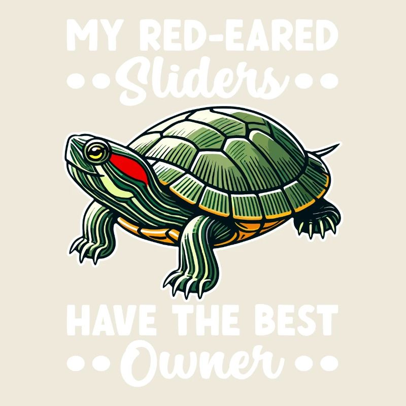 Turtle Red-eared Turtle