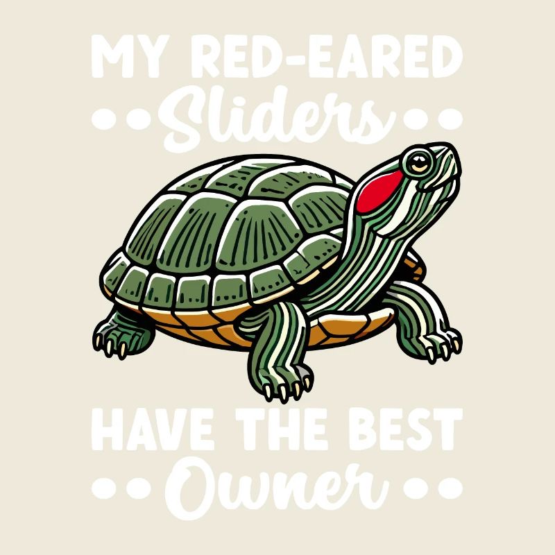 Turtle Red-eared Turtle