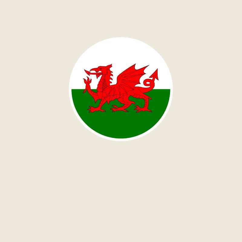 Wales Walisische Flagge Waliser