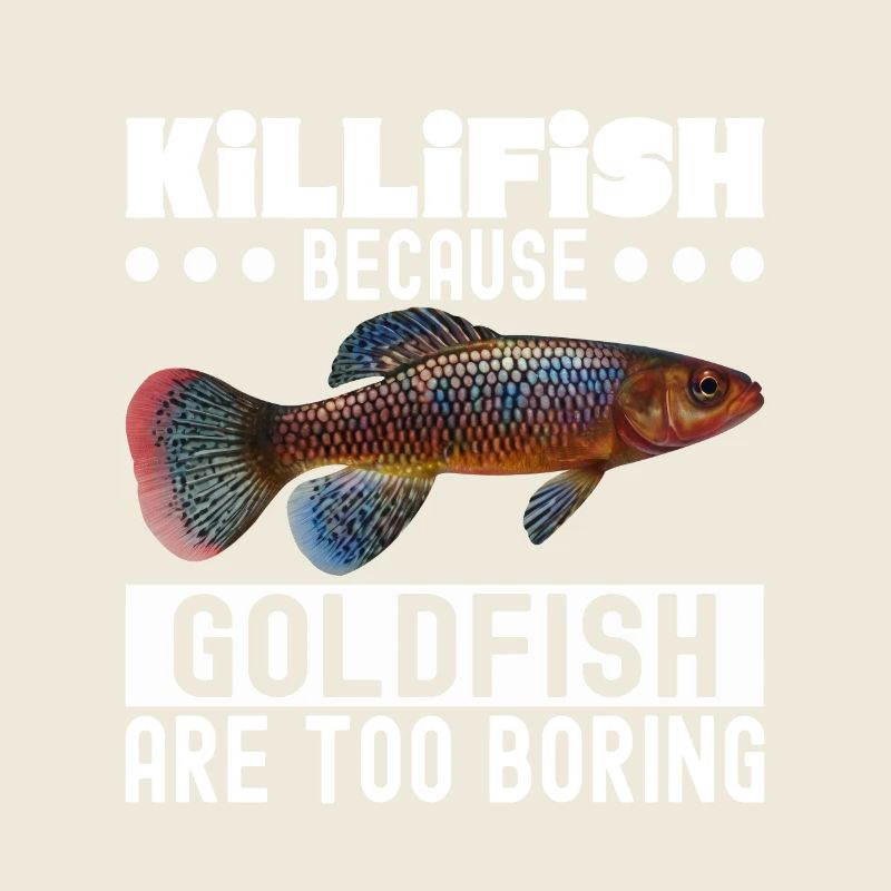 Killifish Quarium Fish
