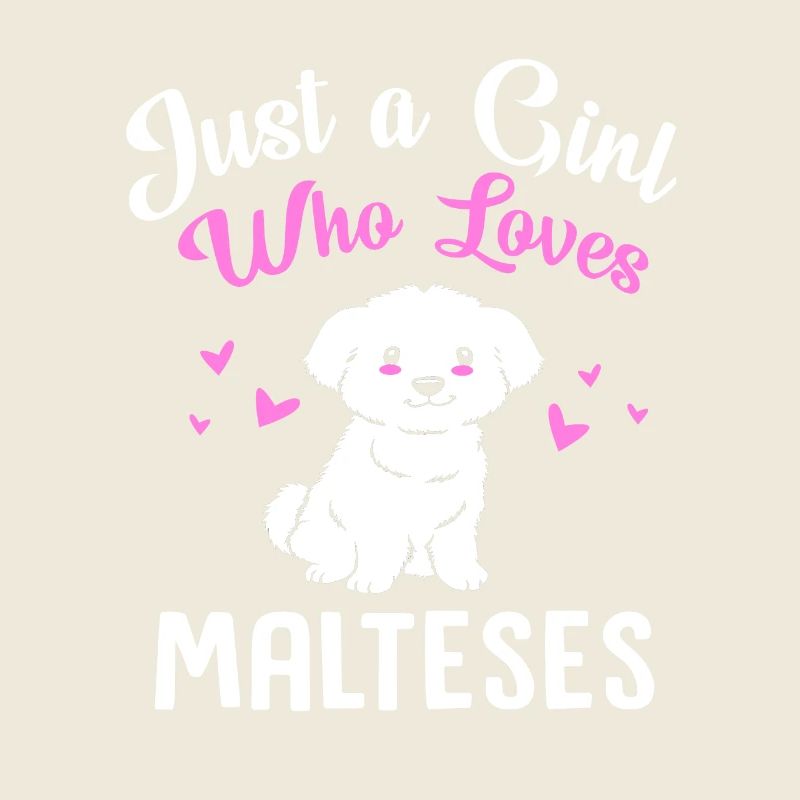 Chien maltais