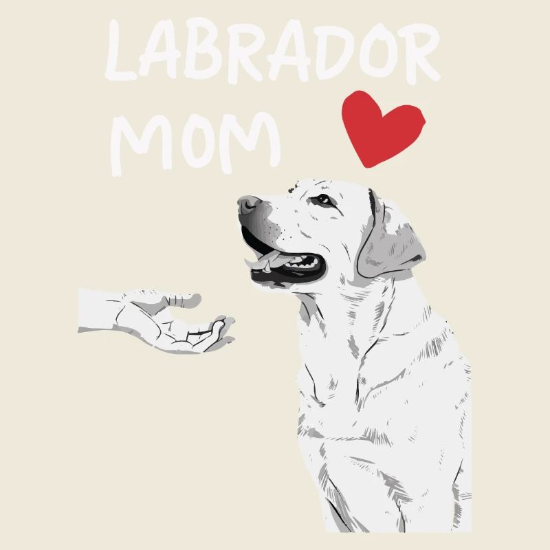 Labrador Hund
