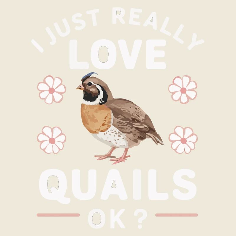 Quail Bird Quails