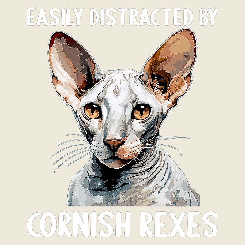 Cornish Rex Facilement distrait par les Cornish Rex