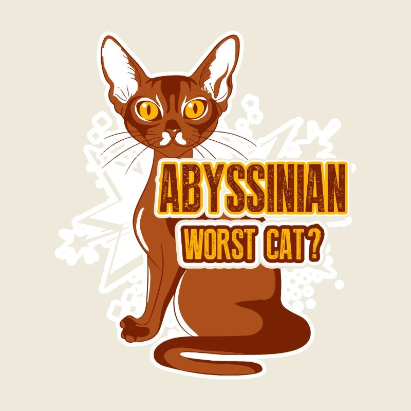 Abyssinian Worst Cat