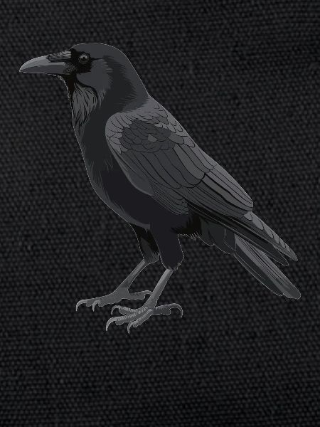 Krähen Krähe
