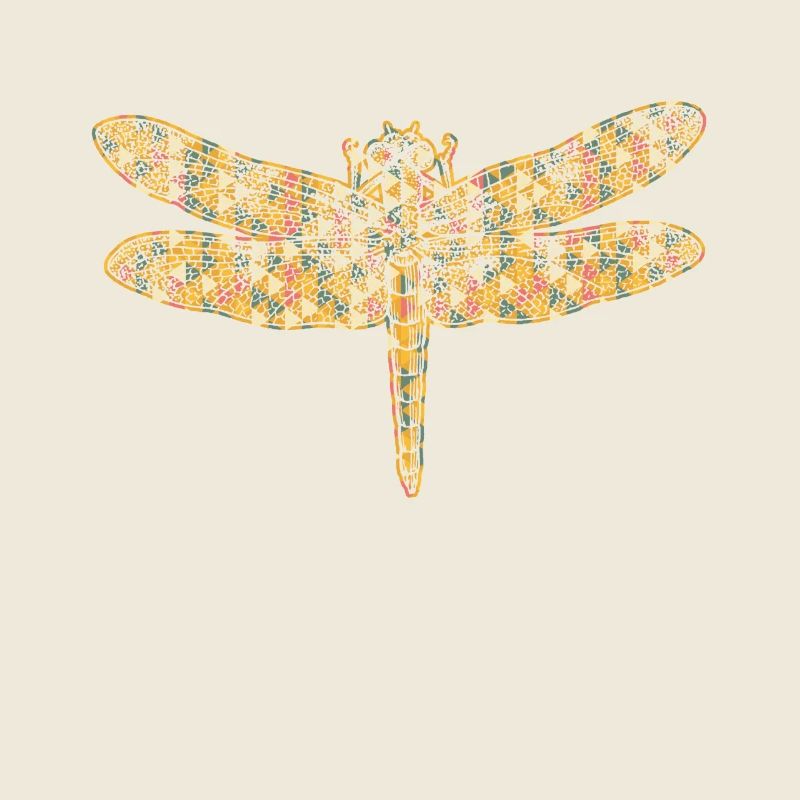 Dragonfly Geometric
