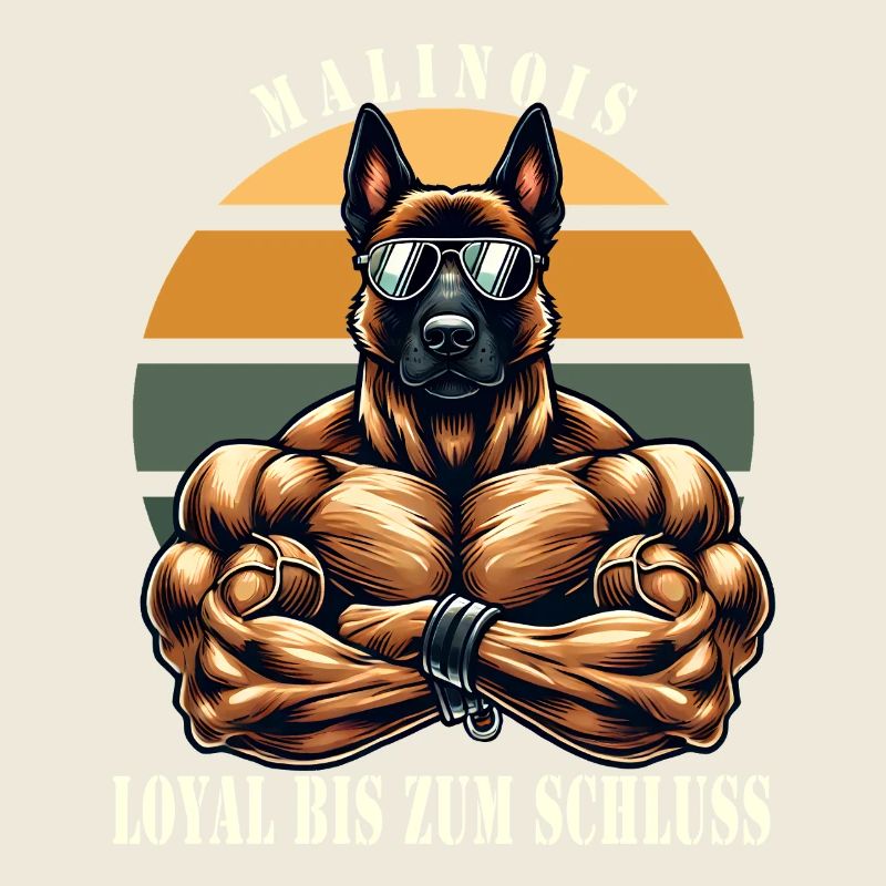 Loyal jusqu’au bout Malinois musclé