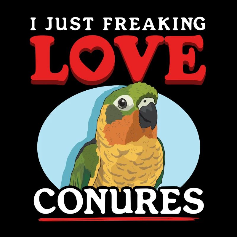 Conure Conures Papageien Geschenk