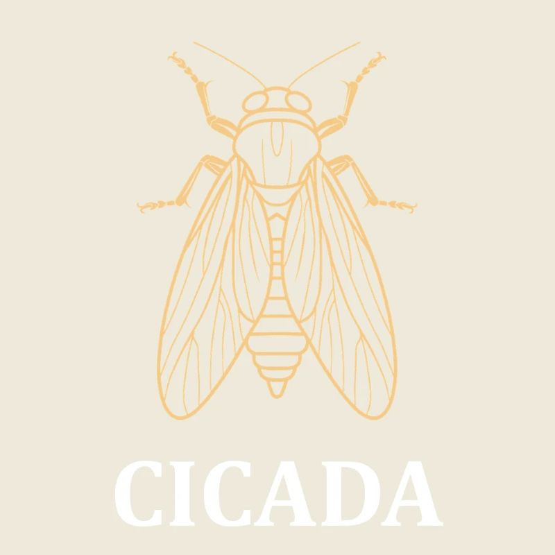cicada