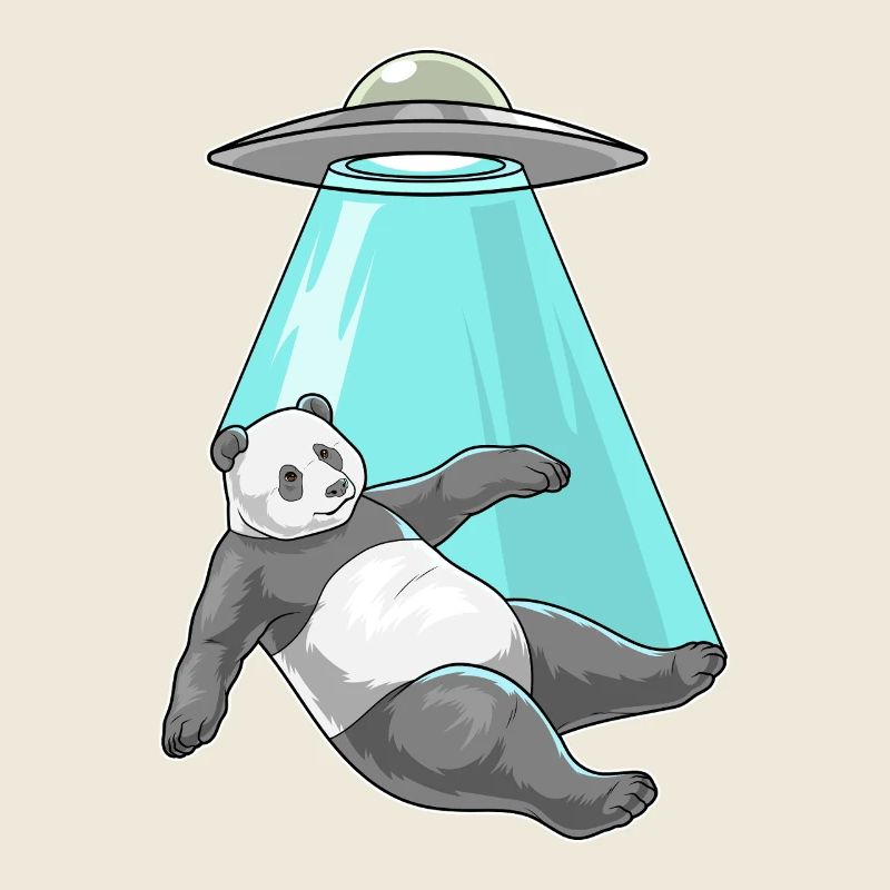 Vaisseau spatial Panda