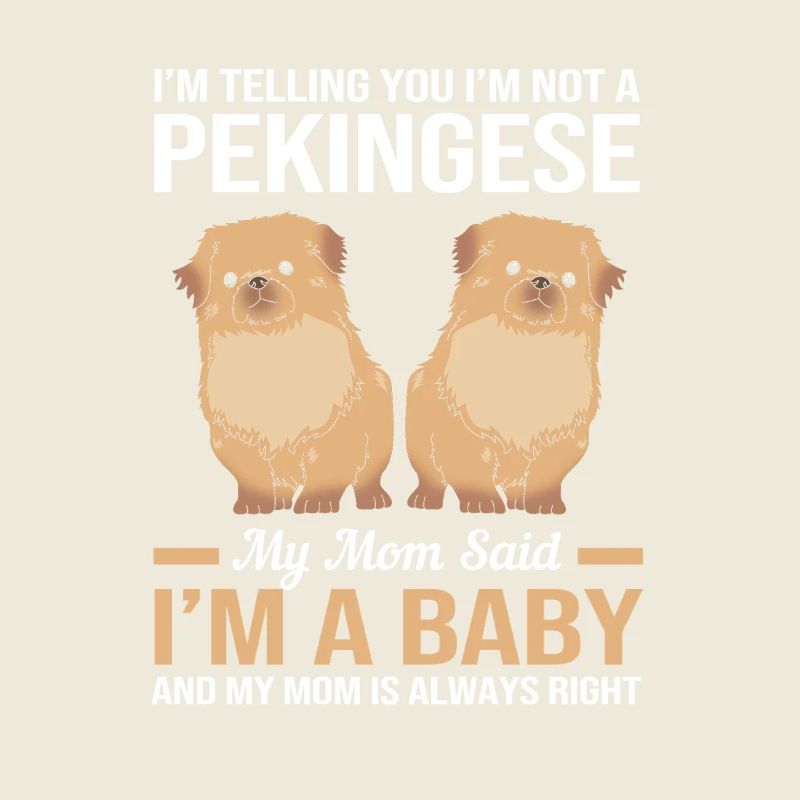 Péningèse pékinois
