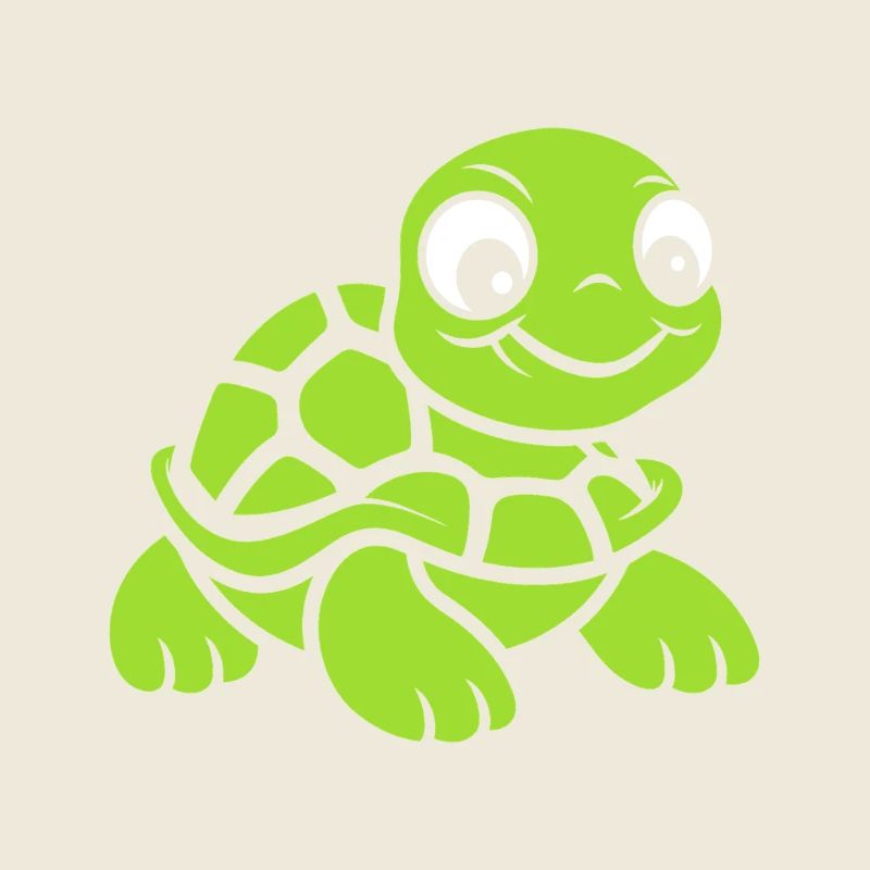 tortue