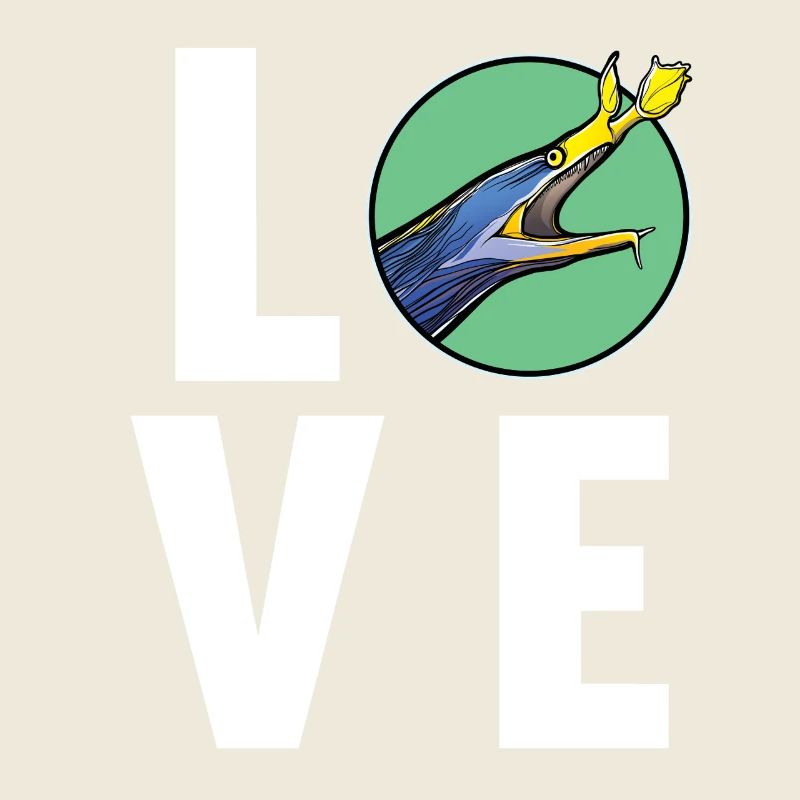 Nasal Moray Eel Ghost Moray