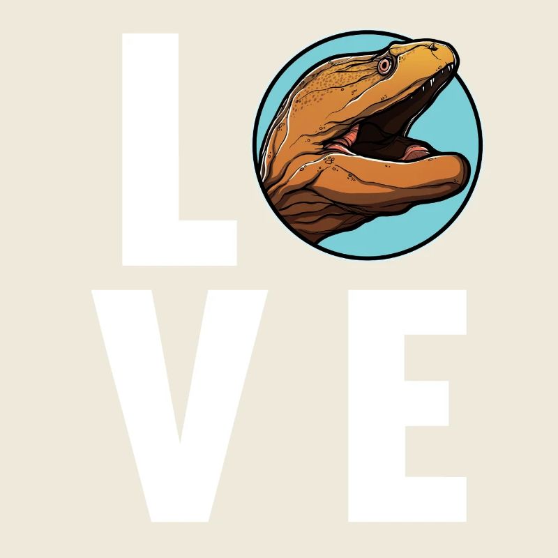 Moray eels Moray eel