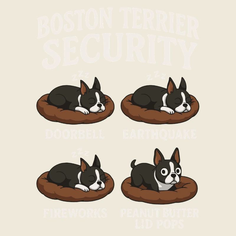 Boston Terrier