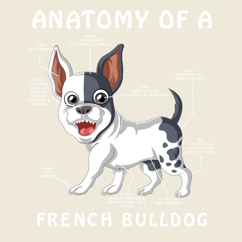 Tableau d’anatomie amusant du bouledogue français Frenchie Dog