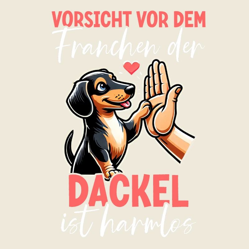 Teckel Chien Teckel à poil dur Têtu
