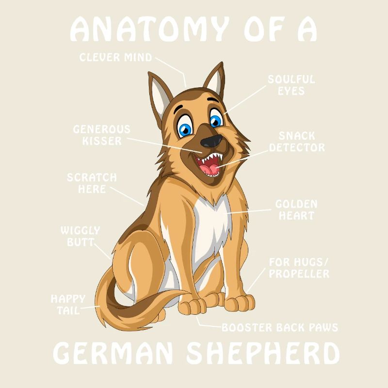 German Shepherd Anatomy