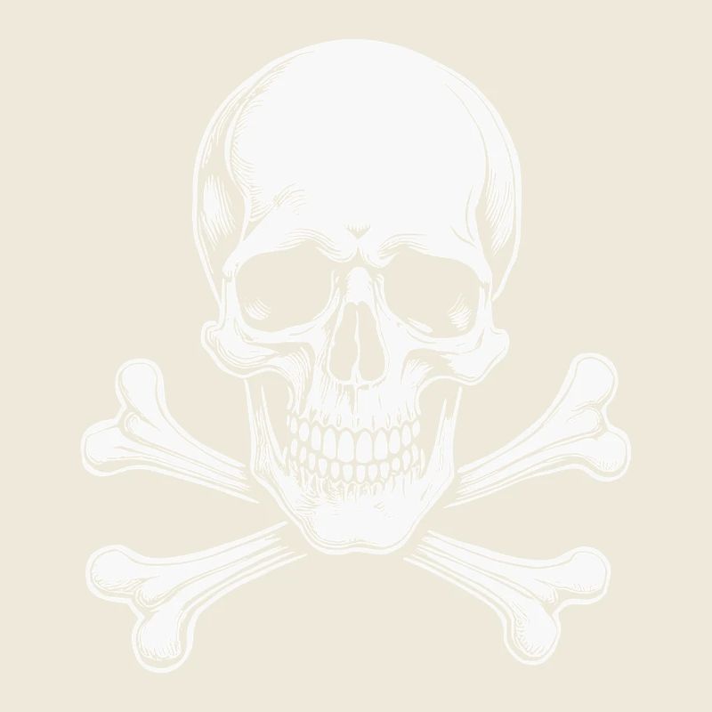 Classic Jolly Roger Skull