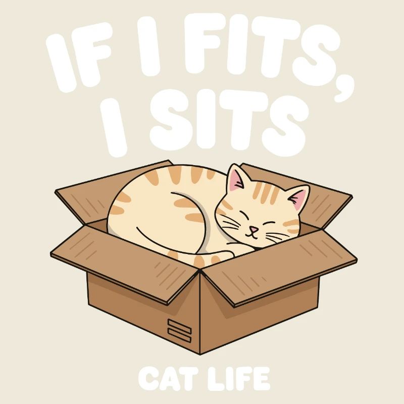 If it fits, cat sits in a box