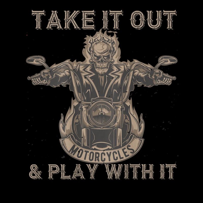 Take It Out Motorcycles Skull