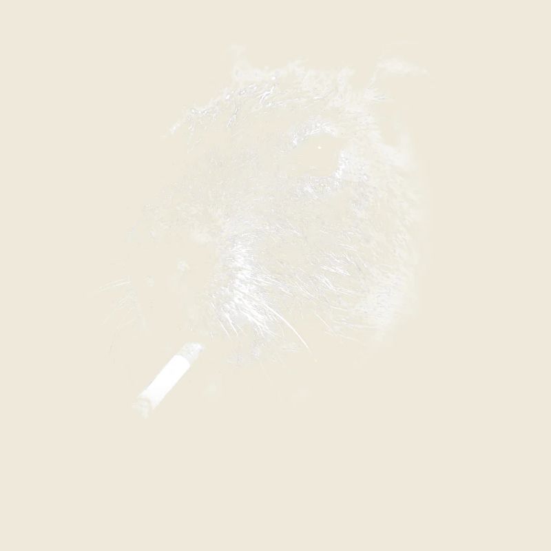 Rauchen, Zigarette, Capybara raucht eine Zigarette