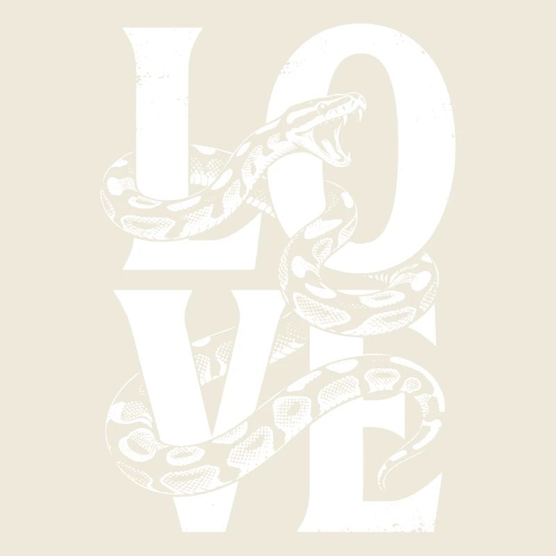 Königspython Schlangen LOVE Terrarium Python