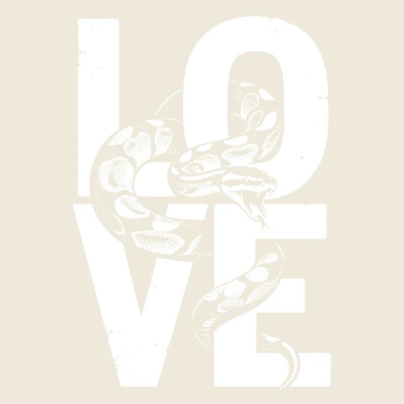 Königspython Schlangen LOVE Terrarium Python