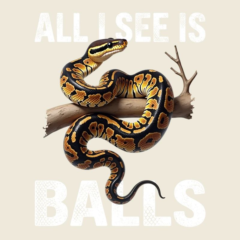 Python roi Serpents Amateurs de terrarium Python