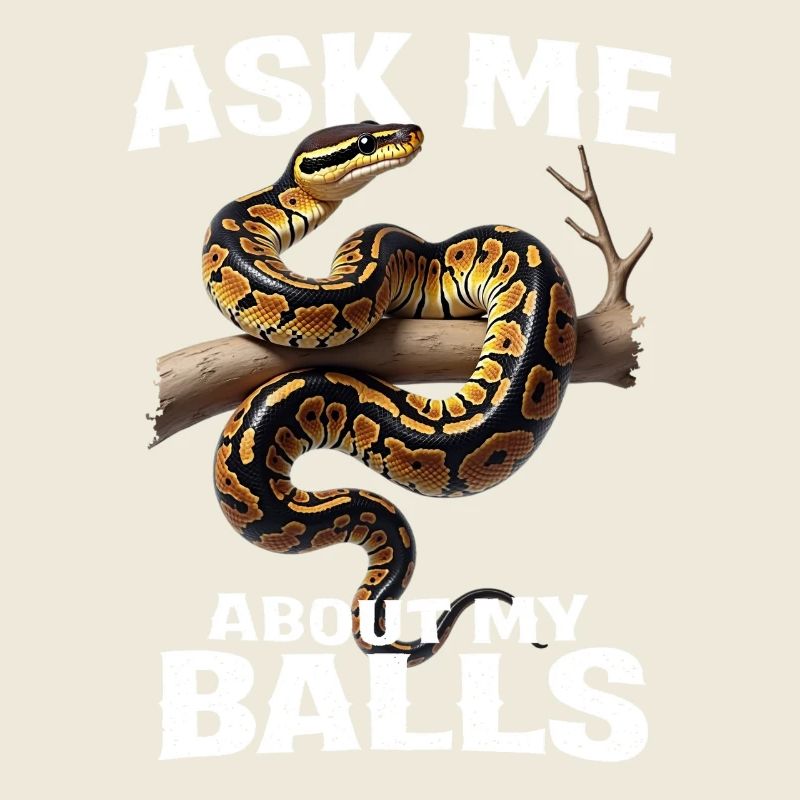 King Python Snakes Lover Terrarium Python