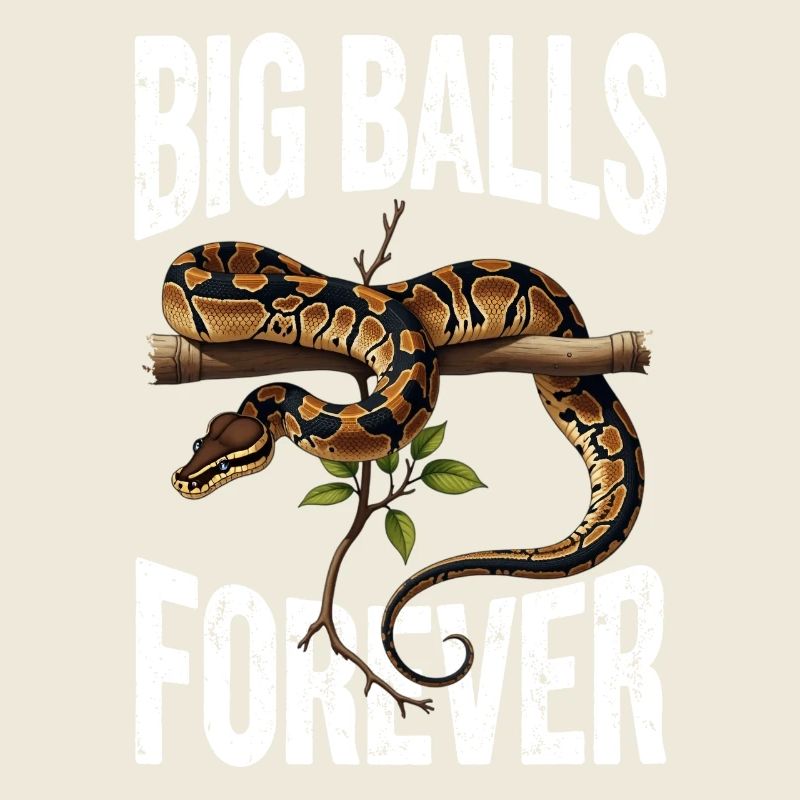 King Python Snakes Lover Terrarium Python