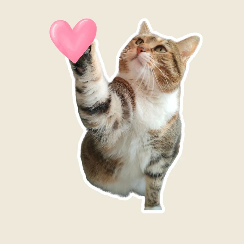 Missty check a heart