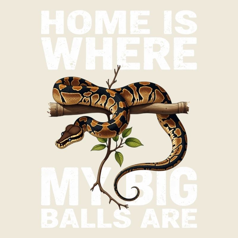 Python roi Serpents Amateurs de terrarium Python