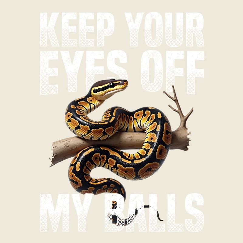 Königspython Schlangen Liebhaber Terrarium Python